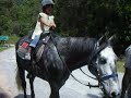colmar-tropicale-bukit-tinggi.html
