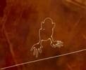 Nazca