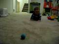 Crawling