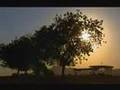 Hope for the Future - Sudan