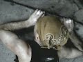 Rock Climbing