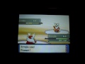 Christmas Bash, vs. Aoi! Delibird vs. Delibird!