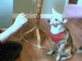 Jayce doing tricks