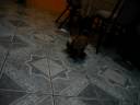 PEKY CALIENTE