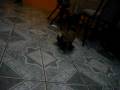 videos de PEKY CALIENTE