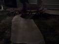 wilfredo trying to do a tail whip on his sister\ wilfredo trying to do a tail whip on his sister\