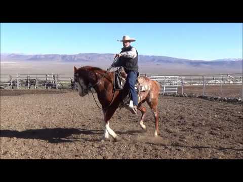 how to properly yield