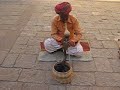 Snake Charmer