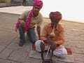 Snake Charmer