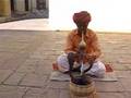 Snake Charmer