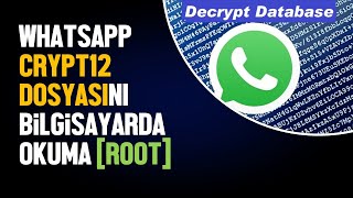 WhatsApp crypt12 okuma  WhatsApp yedeğini bilgisa