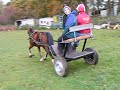 Gurnos Welsh Scrumpy Jack
