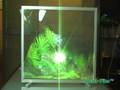 Smart Film_Transparent Screen_30inch_Smart Screen