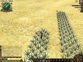 VCO planting 2 VCO planting 2