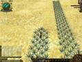 VCO planting 2