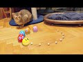 Google Brings Pac-Man, Hello Kitty, and More to Life With AR
