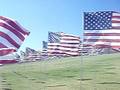 Wave of Flags