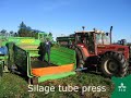 Harvest of hemp as a biogas substrate