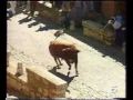 Los asesinos de Tordesillas (Tontesillas)