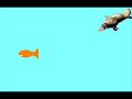 a platypus eats a fish