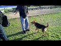 Rocky and Sasha at Point Isabel