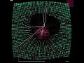 Interactive Software Visualization