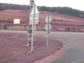 Burgundy Bike - Approaching Pernand-Vergelesses
