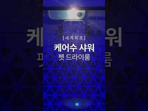 매일매일 귀족의 하루처럼!