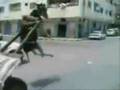 Donkey Lift