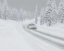 1. Rally Sauerland - VDRM - RBR (Part 1/2)
