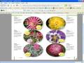 videos de Swf export i InDesign CS4