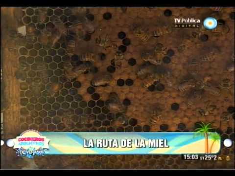 Provoletas a la pizza a la chapa