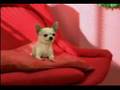 Hoku - Perfect Day