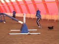 Dami�s hunt for one more \"zero\"