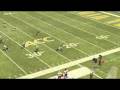 sylvester_msu08.mov