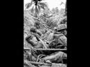 fortunate-son-vietnam-vid.html