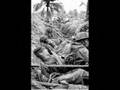 Fortunate Son Vietnam Vid
