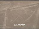 LINEAS DE NAZCA Peru NAZCA LINES