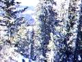 videos de the 3 allies summiting brighton (explicit)