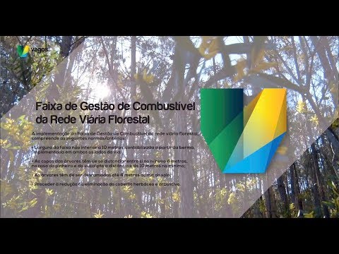 Faixa de Gestão de Combustível da Rede Viária Florestal