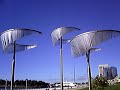 San Diego \"WIND PALMS\" nest San Diego \"WIND PALMS\" nest