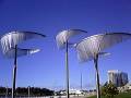 videos de San Diego 
