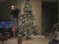 videos de Christmas Tree Time Lapse.wmv