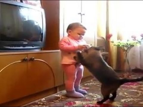 Funny Videos 2014 - Funny Cats Video - Funny Cat Videos Ever - Funny Animals Funny Fails 2014