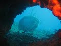 Halbinsel Samana, Ort Las Terrenas, Tauchplatz Las Ballenas