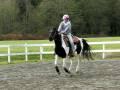 videos de Emily & Domino - Nov. 23, 2008