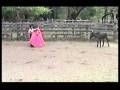 videos de tienta.avi