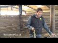 How to Teach a Foal to Lead
