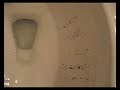 Kohler-Cimarron-flus