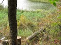 Chainsaw to the point